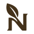 Brown Nool Cosmetics Logo Icon