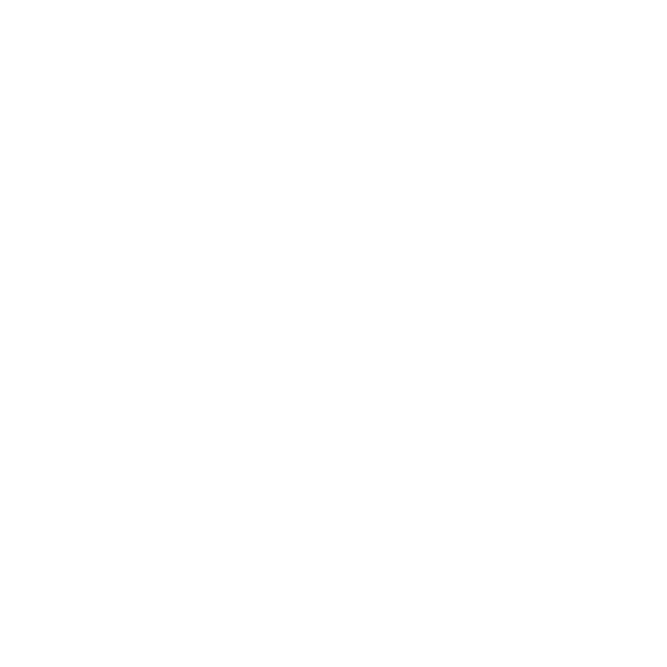 White Nool Cosmetics Logo